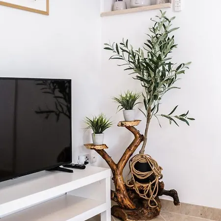 Appartement P&s